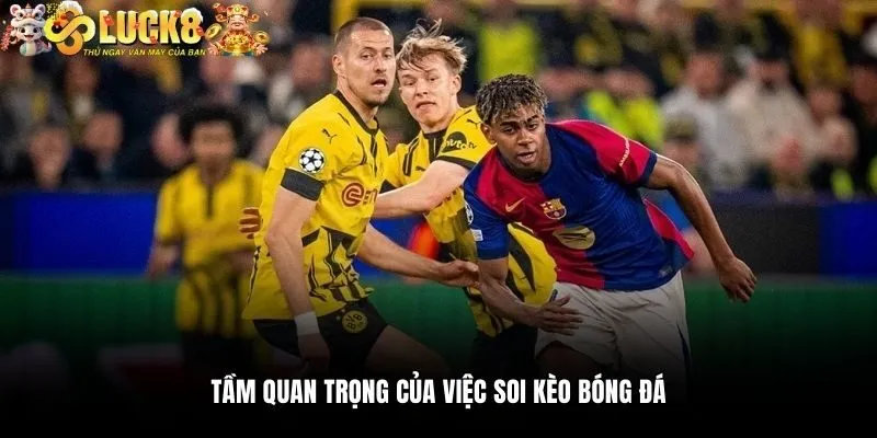 Soi Kèo Bóng Đá - Cẩm Nang Bắt Kèo Chuẩn Cho Mọi Bet Thủ 2 Tầm quan trọng của việc soi kèo bóng đá