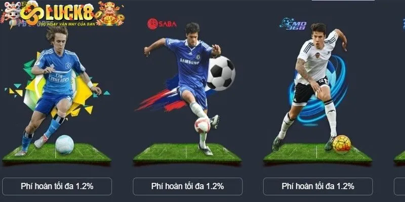 Tổng quan sơ lược về sảnh thể thao Luck8